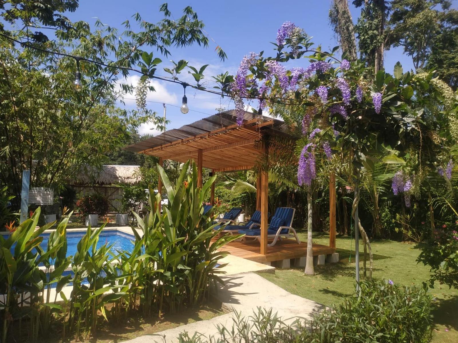 Black Bamboo B&B Puerto Viejo de Talamanca Dış mekan fotoğraf