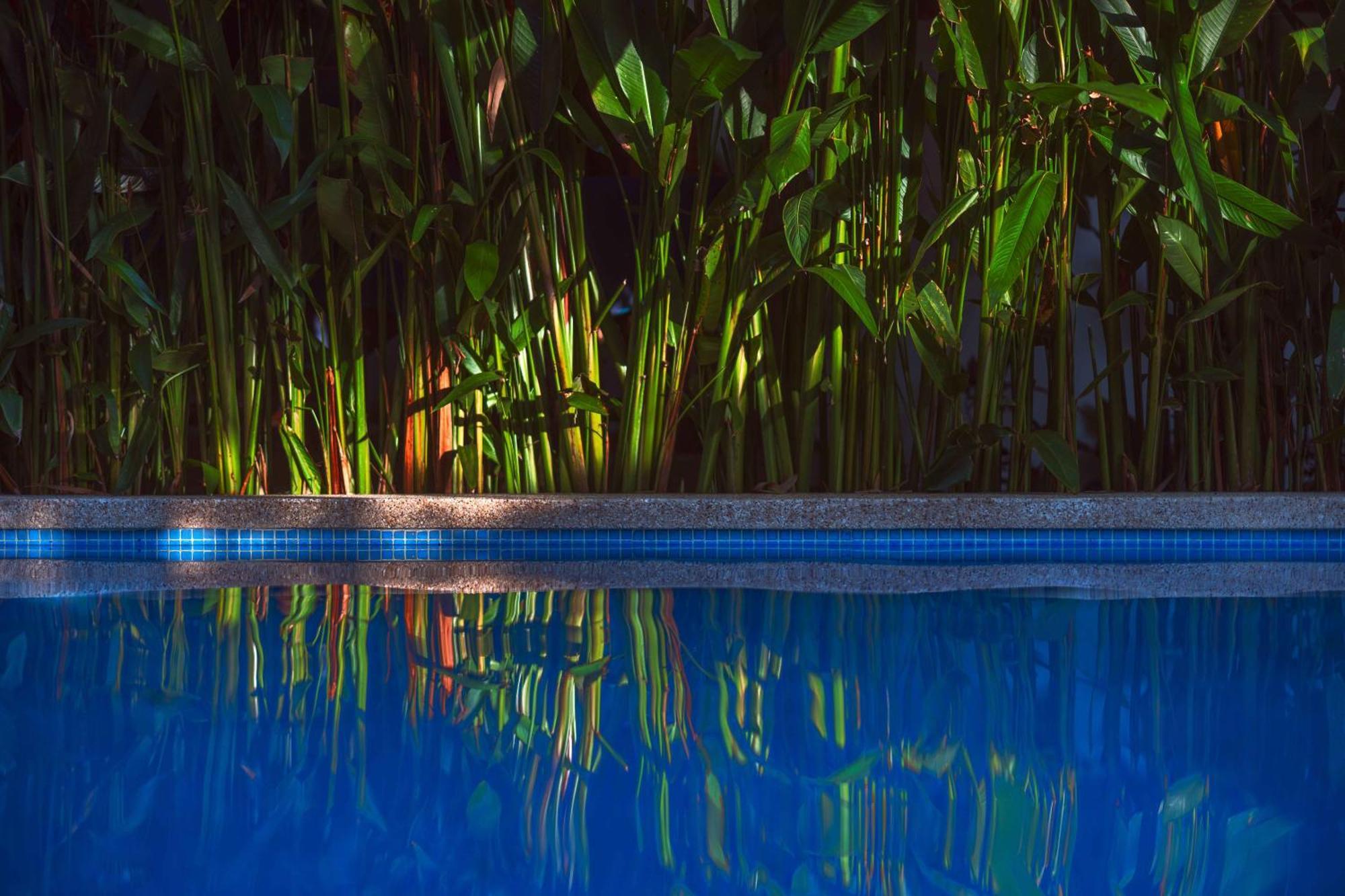 Black Bamboo Puerto Viejo de Talamanca Dış mekan fotoğraf